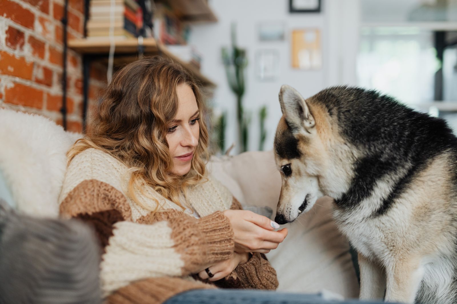 Woman relaxing on a sofa with her senior dog indoors