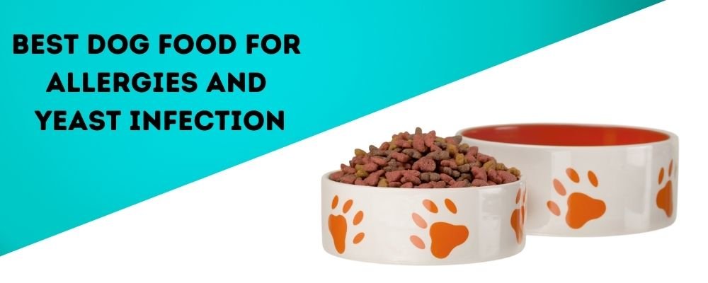 Best Dog Food for Allergies and Yeast Infection
