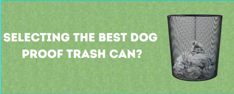  Best Dog Proof Trash Can