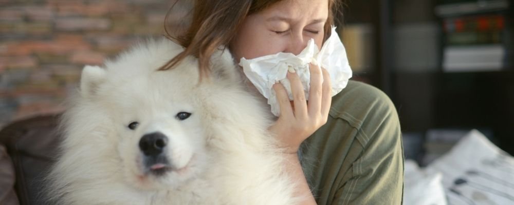 Dog Allergies and Yeast Infection