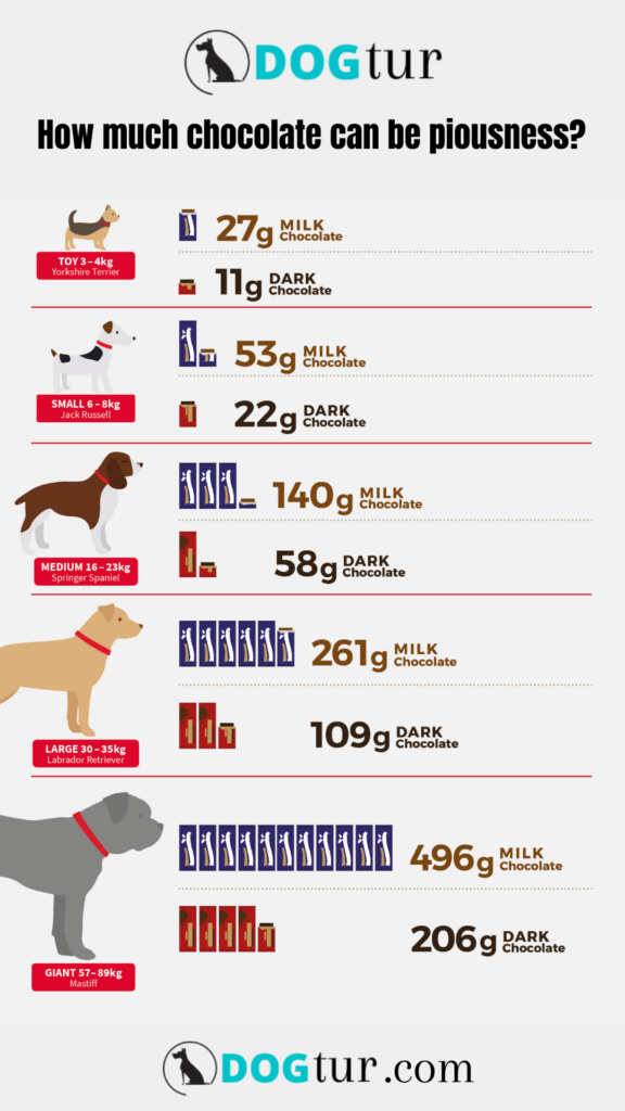How Much Chocolate Can Kill a Dog