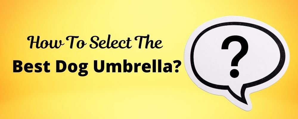 How to select best dog umbrella 