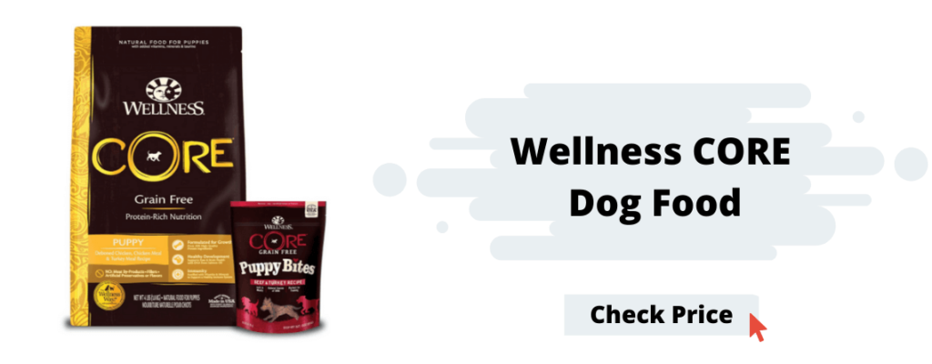 Wellness CORE Dog Food