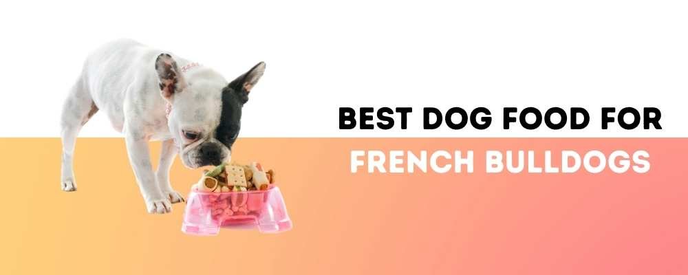 Best Dog Food for French Bulldogs