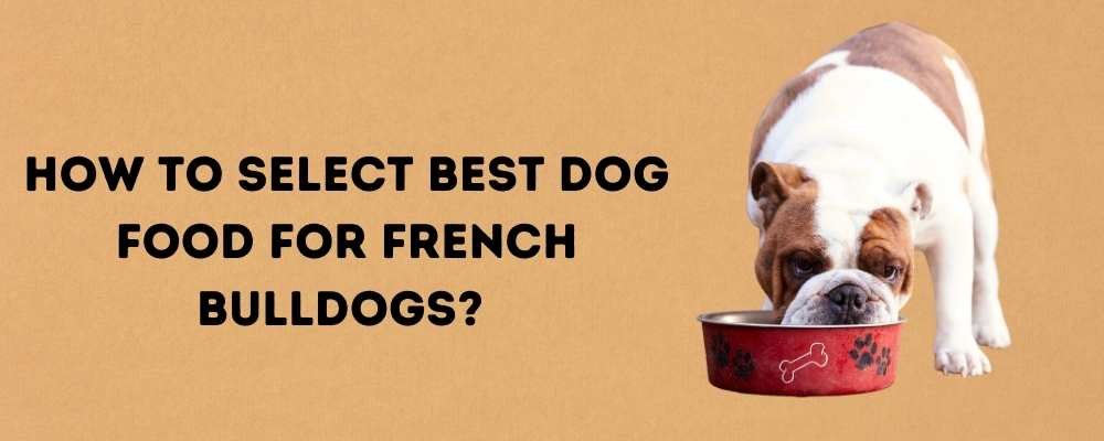 Best Dog Food for French Bulldogs 2021 Reviews