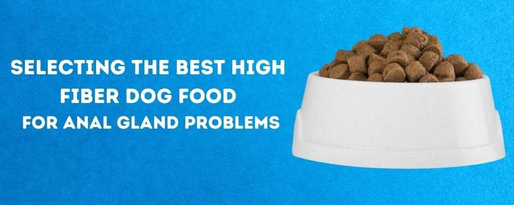Best High Fiber Dog Food Anal Gland Problems