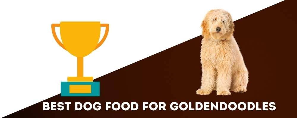 Best dog food for golddendoodles 