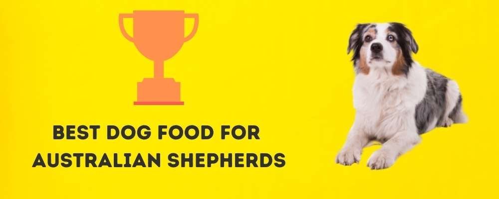 Best Dog Food for Australian Shepherds