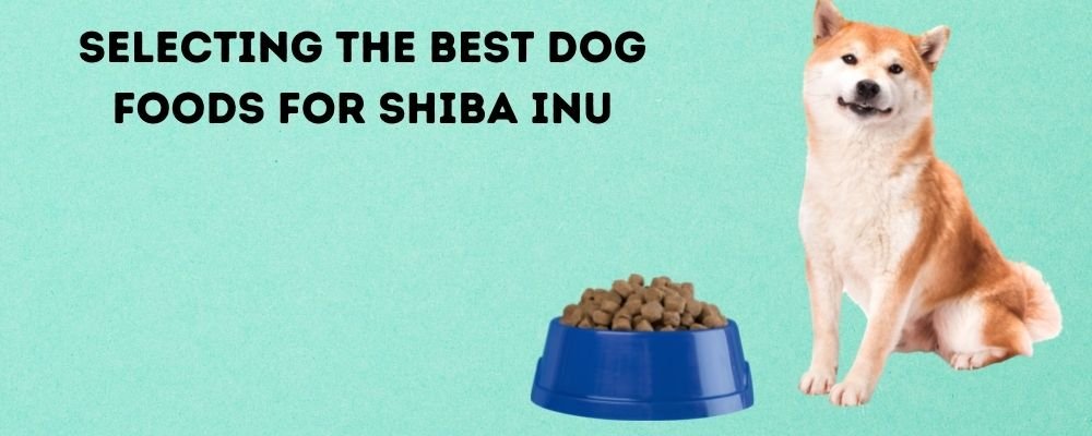 Best dog food for shiba inu