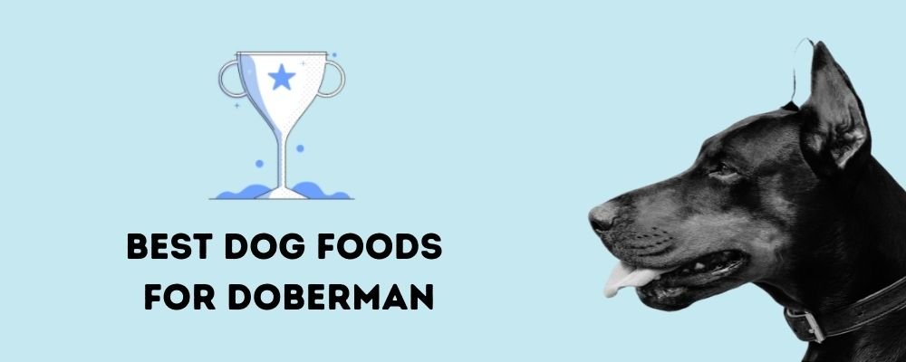 Best do food for dobermans