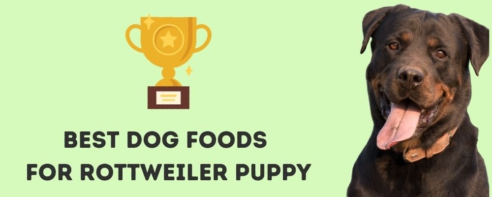 Best Dog Foods for Rottweiler Puppy