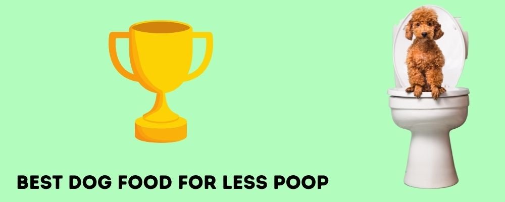 Best Dog Food for Less Poop