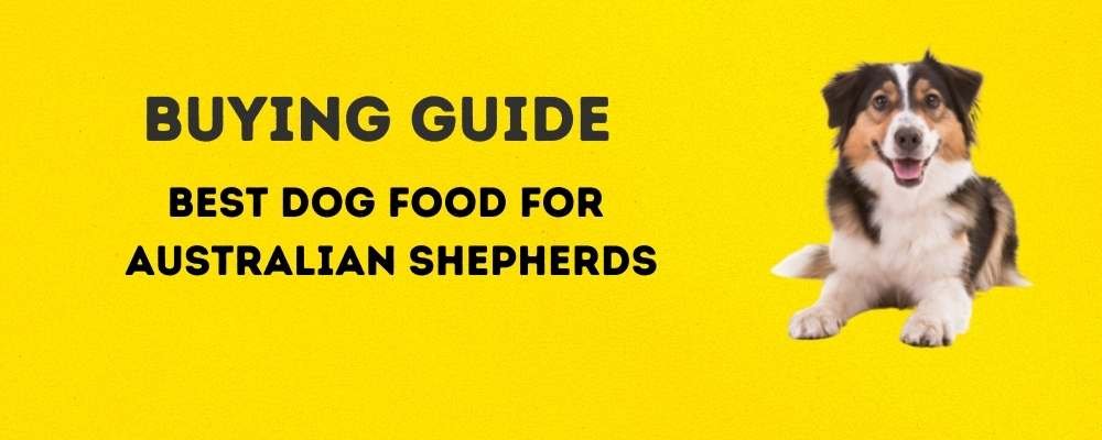 Buying Guide: Best Dog Food for Australian Shepherds