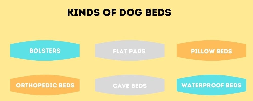 kinds of beds for golden Retrievers