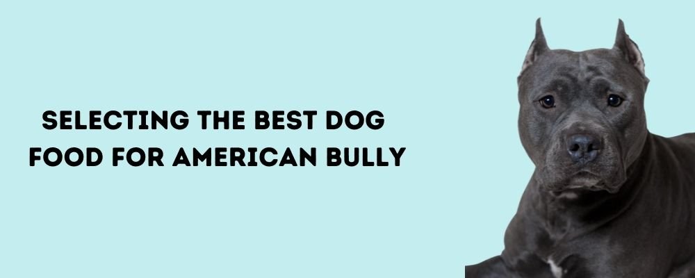 Best dog food for American bully 