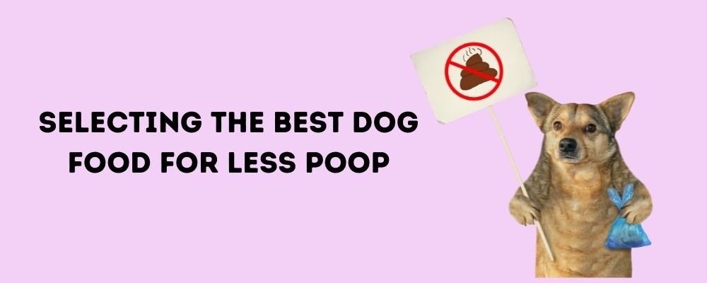 Selecting the best dog food for less poop