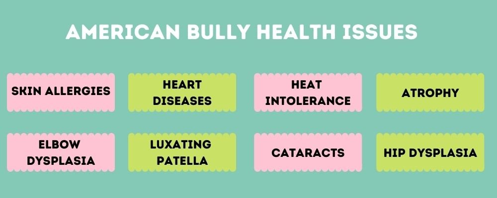 American Bully Health Issues 