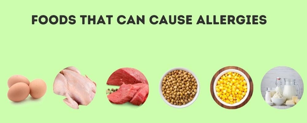 Food that cause allergies 