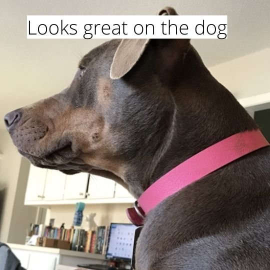 Tuff Pupper Dog Collar review