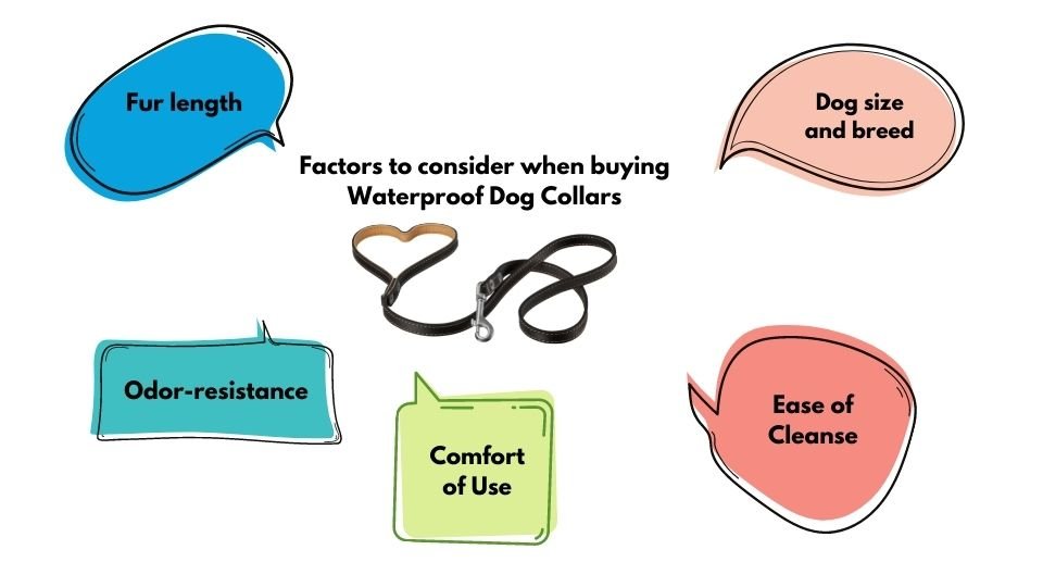 Factors to Consider When Choosing Waterproof Dog Collar