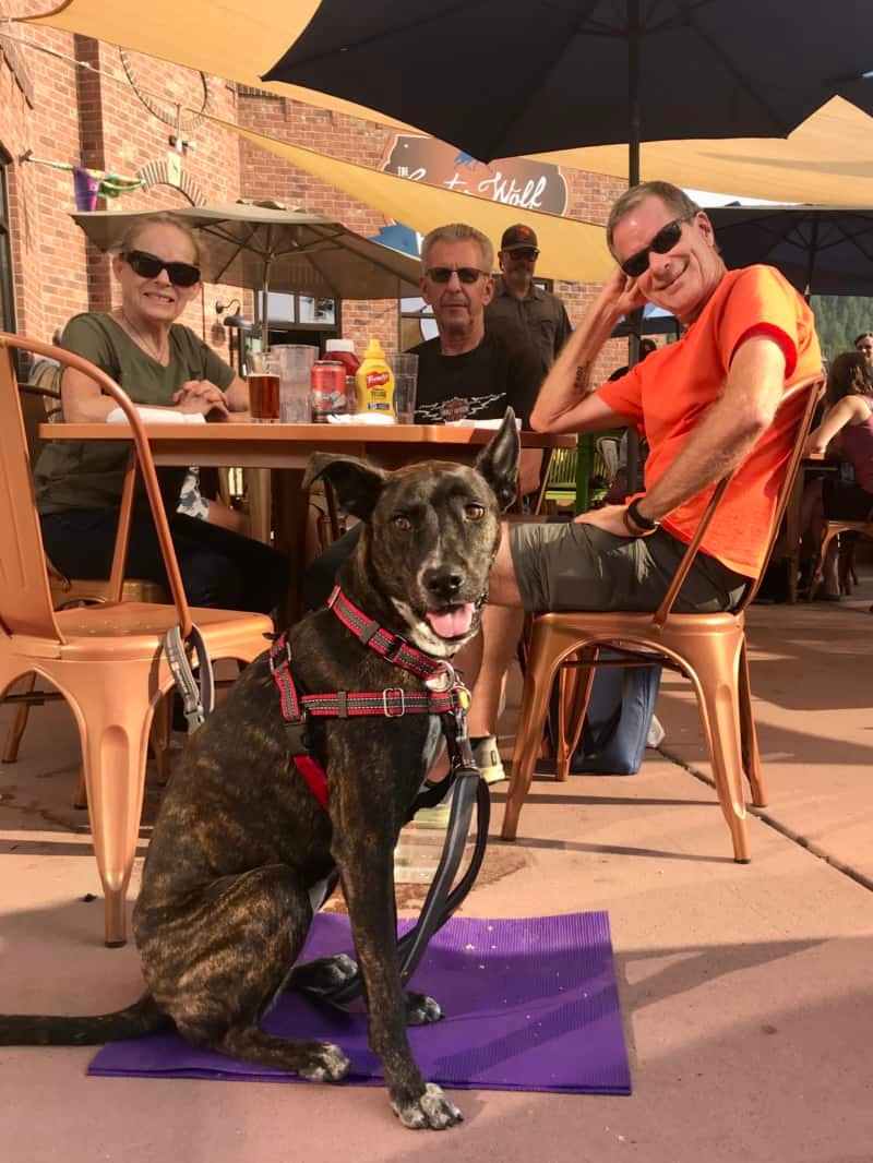 Brindle dog, woman and two men on the pet-friendly patio at Custer Wolf in Custer, SD