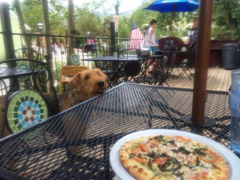 Dog Friendly Restaurants in Chicago