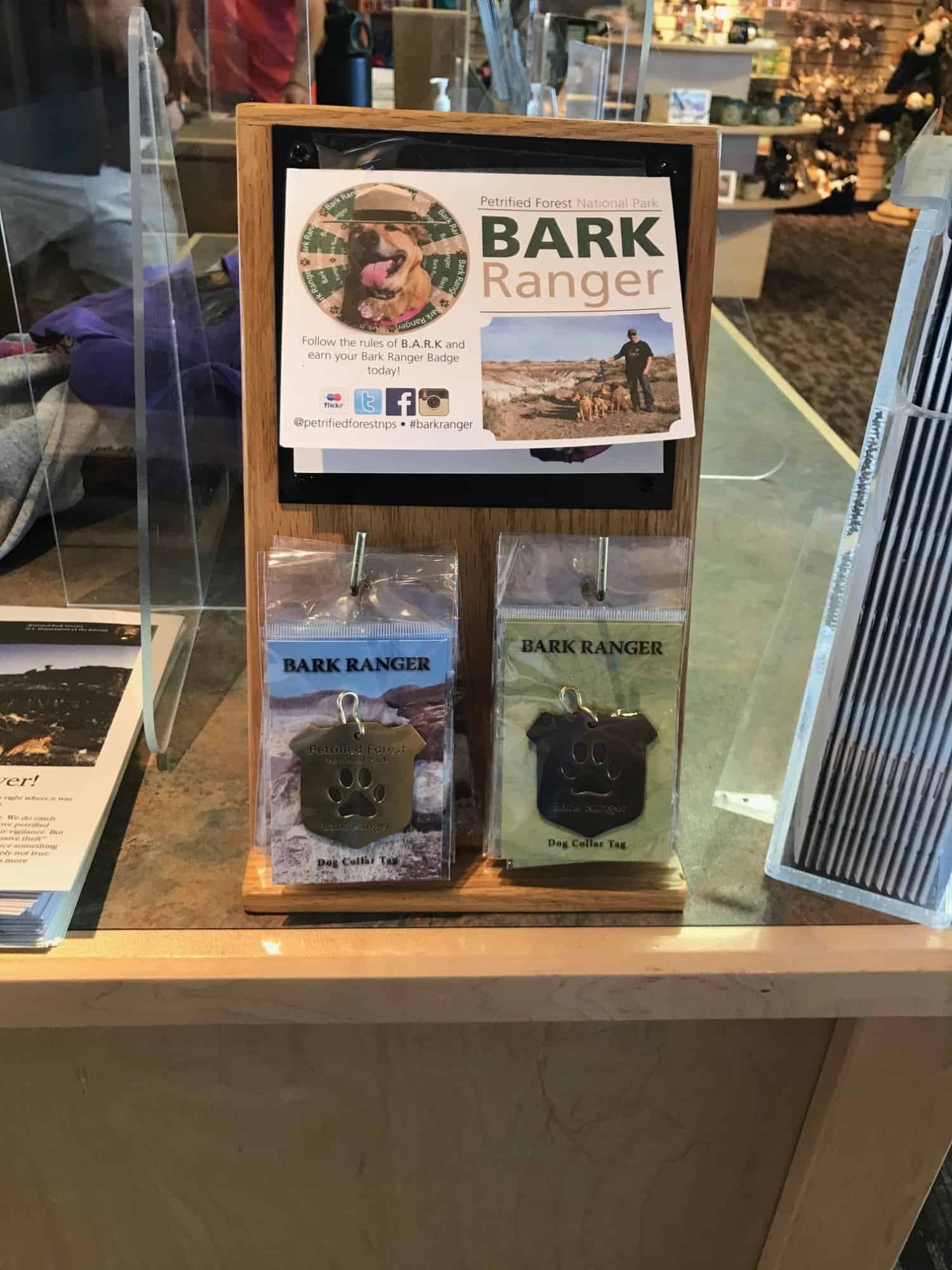 Display of the Bark Ranger tag in the counter at Petrified Forest National Park