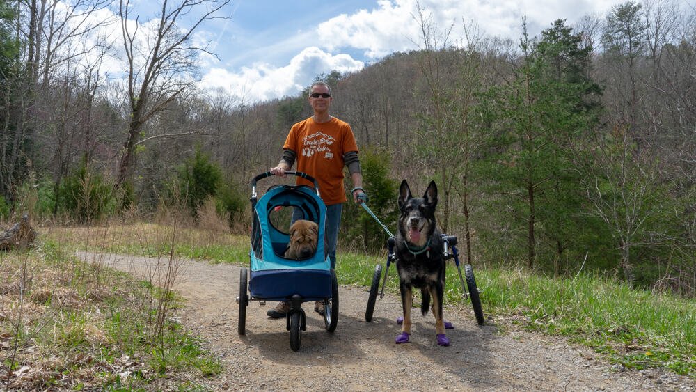 Man with two dogs walking on a pet-friendly trail at Cumberland Gap National Historical Park