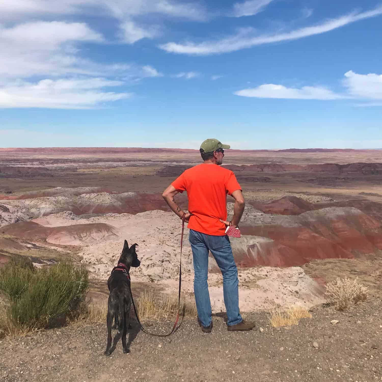 Man and dog standing on rim overlooking landscape at Petrified Forest National Park in AZ